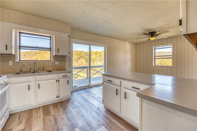 kitchen featuring white cabinetry, sink, light hardwood / wood-style flooring, and tasteful backsplash