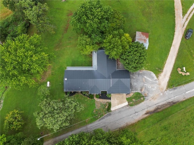 bird's eye view