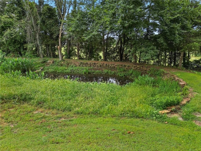 view of local wilderness featuring a water view