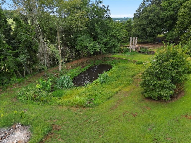 view of yard featuring a water view