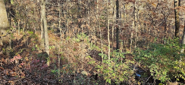 Listing photo 2 for TBD Wooten Rd, West Fork AR 72774