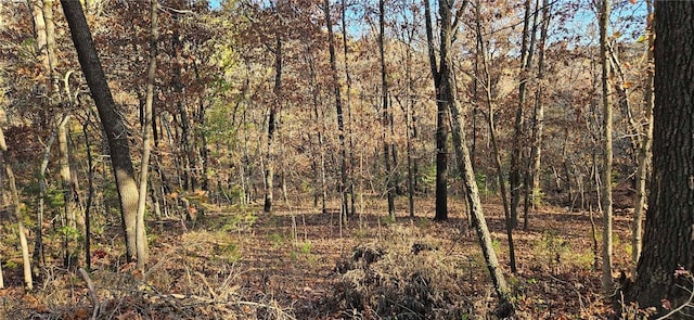 TBD Wooten Rd, West Fork, AR 72774