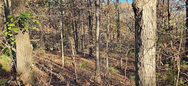 Listing photo 3 for TBD Wooten Rd, West Fork AR 72774