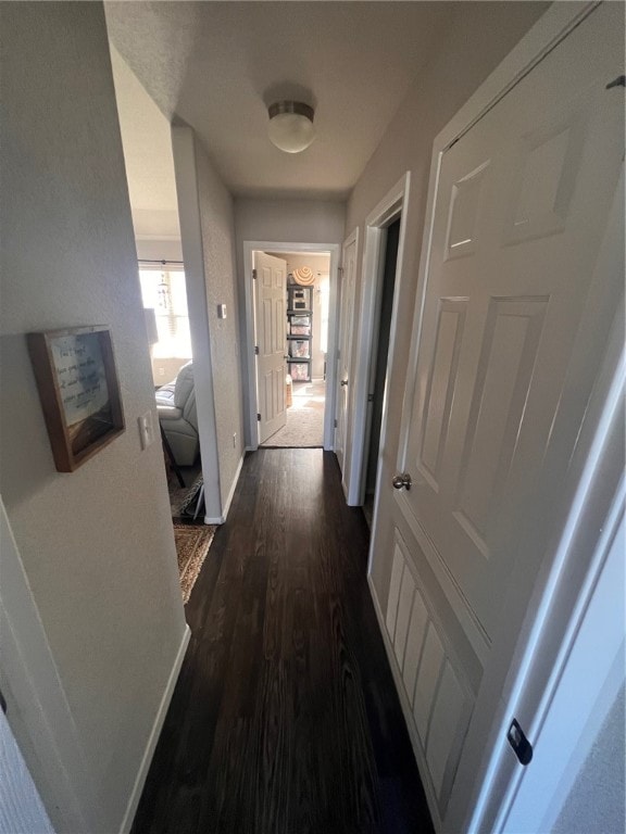 hallway with dark hardwood / wood-style flooring