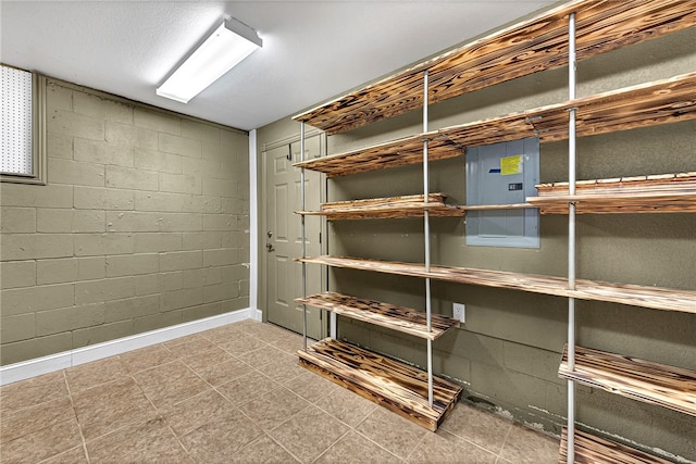 storage room with electric panel