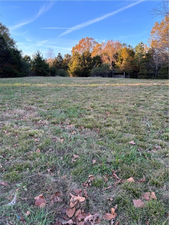 view of yard with a rural view