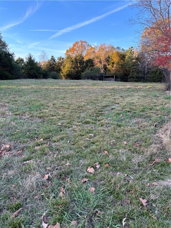 view of yard featuring a rural view