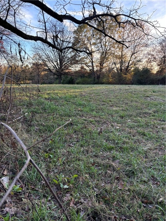 view of yard with a rural view