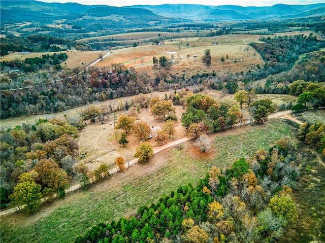 birds eye view of property with a mountain view