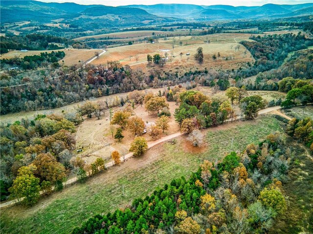 974 NC-4540, Mount Judea, AR 72655 - photo 4