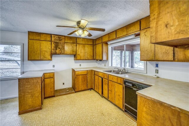 974 NC-4540, Mount Judea, AR 72655 - photo 9