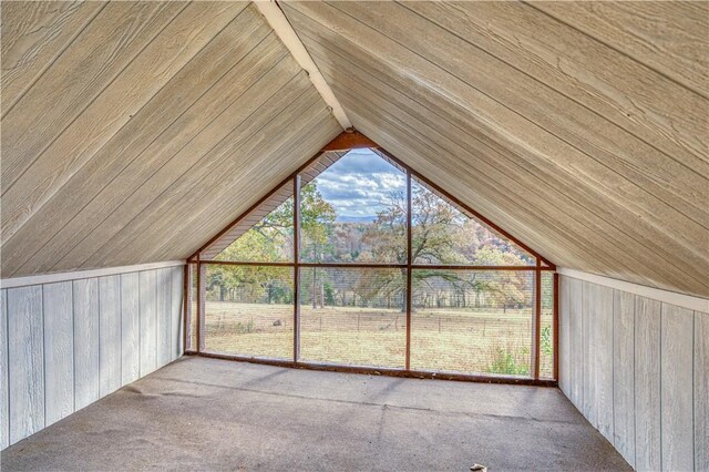 974 NC-4540, Mount Judea, AR 72655 - photo 21