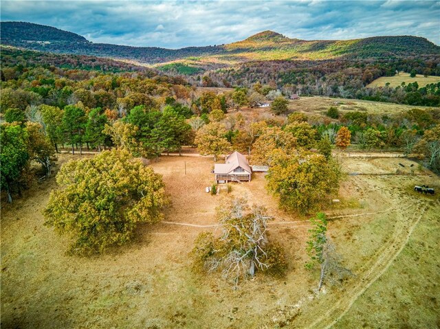 974 NC-4540, Mount Judea, AR 72655 - photo 43