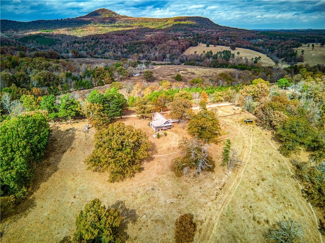 drone / aerial view featuring a mountain view