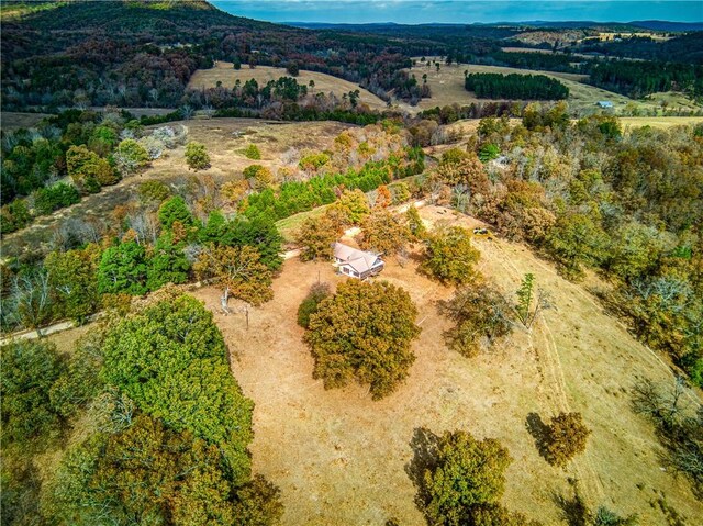974 NC-4540, Mount Judea, AR 72655 - photo 45
