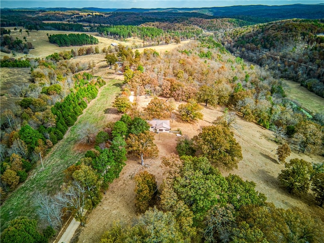 bird's eye view