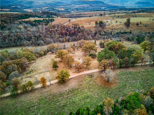 bird's eye view featuring a rural view and a mountain view