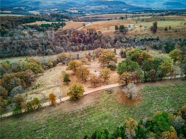 974 NC-4540, Mount Judea, AR 72655 - photo 47