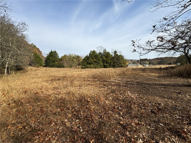 view of landscape with a rural view