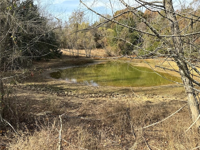 view of landscape featuring a water view