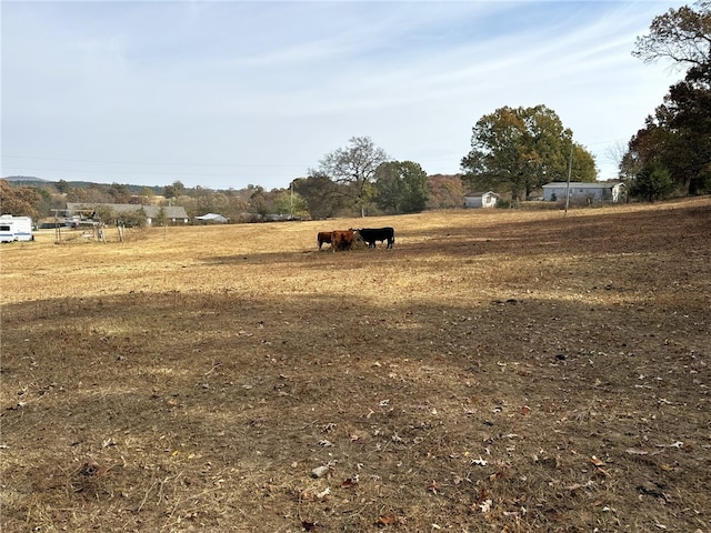 view of yard featuring a rural view