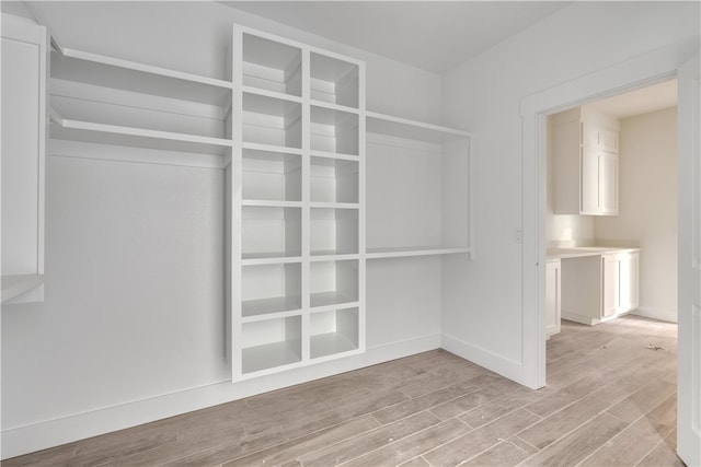 12406 Wildwood Dr, Rogers, AR 72756 - walk in closet with light wood-style flooring