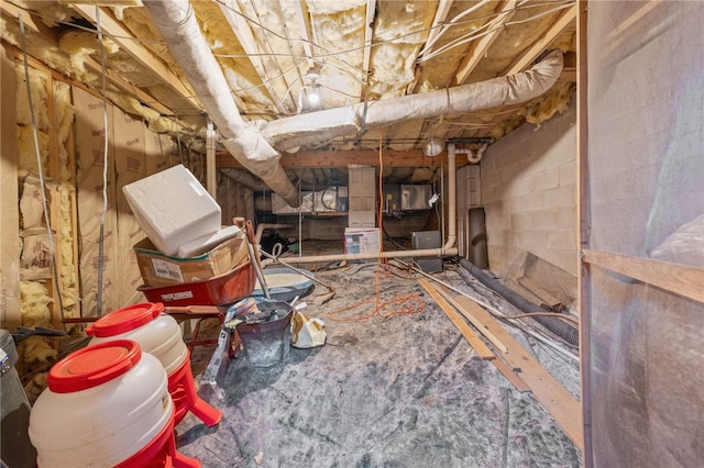 basement featuring crawl space and concrete block wall