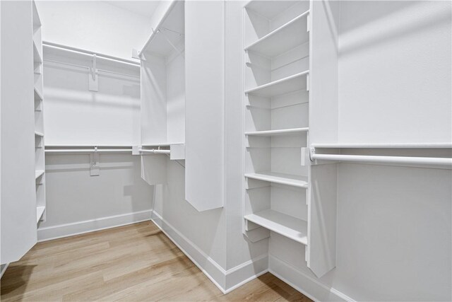 spacious closet featuring light hardwood / wood-style flooring