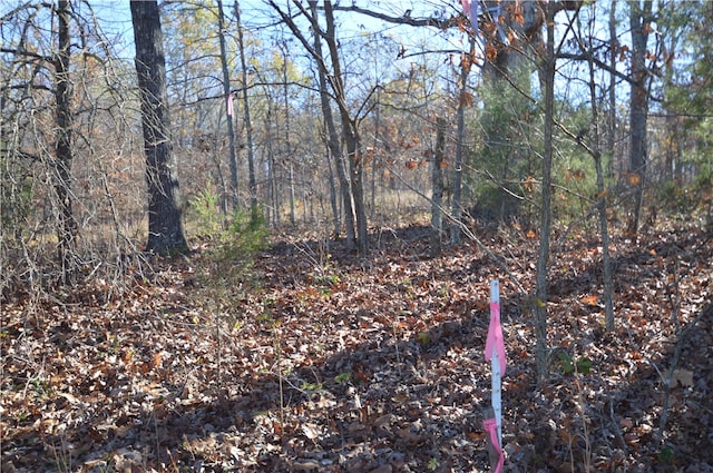 TBD Coose Hollow Dr, Rogers, AR 72756