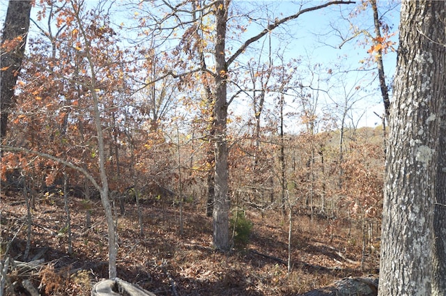TBD Coose Hollow Dr, Rogers, AR 72756