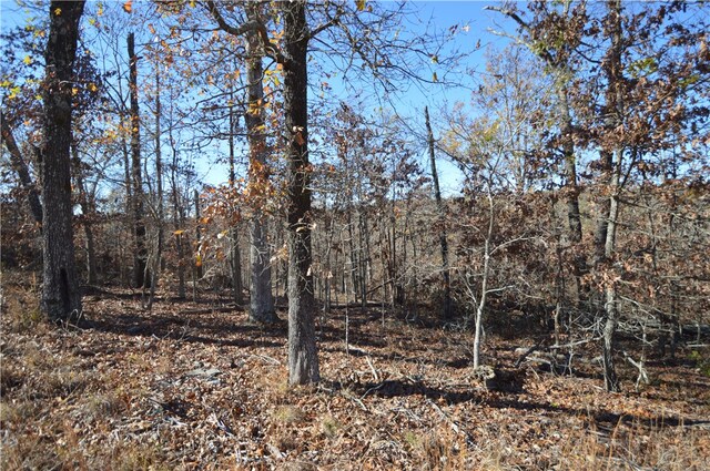 TBD Coose Hollow Dr, Rogers, AR 72756
