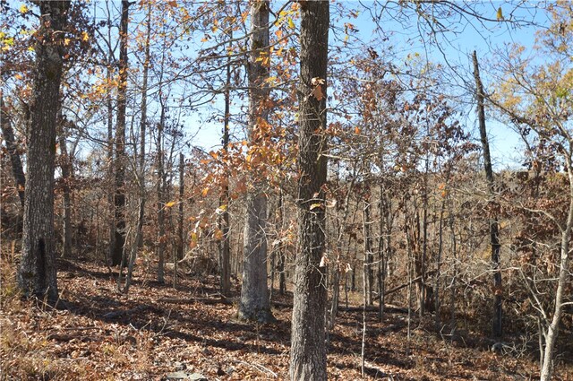 TBD Coose Hollow Dr, Rogers, AR 72756