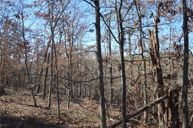 TBD Coose Hollow Dr, Rogers, AR 72756
