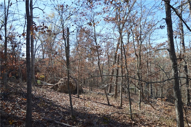 TBD Coose Hollow Dr, Rogers, AR 72756