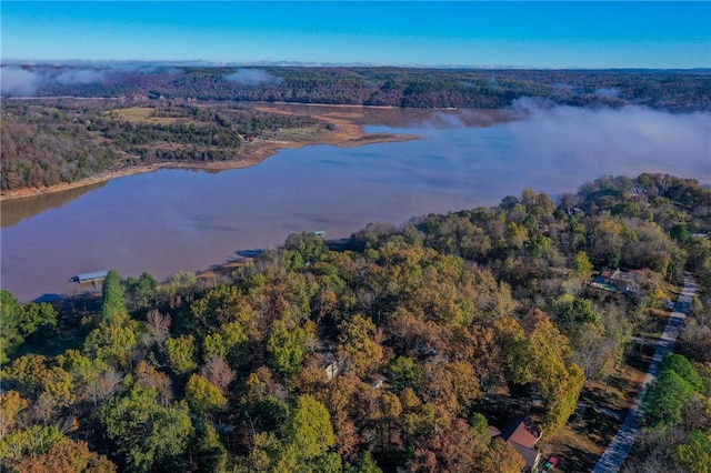 aerial view with a water view and a forest view