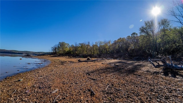 property view of water with a view of trees