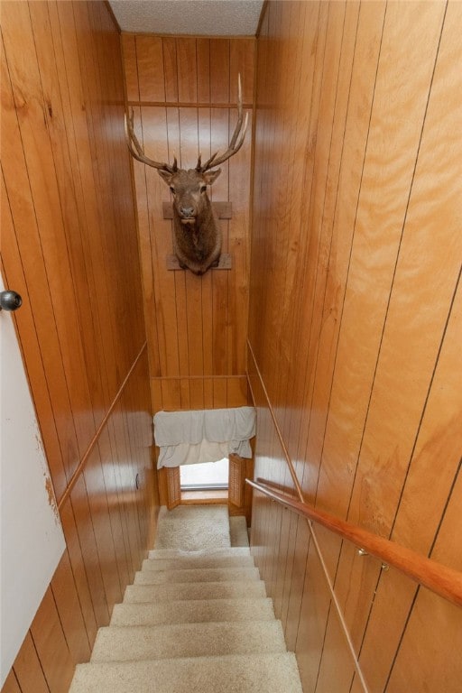 stairs with carpet and wood walls