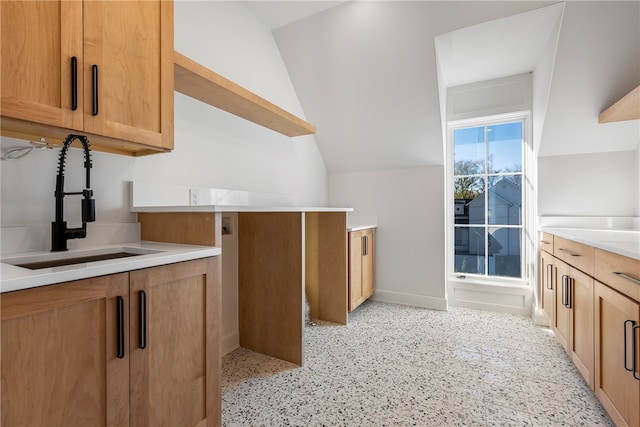 kitchen featuring vaulted ceiling and sink