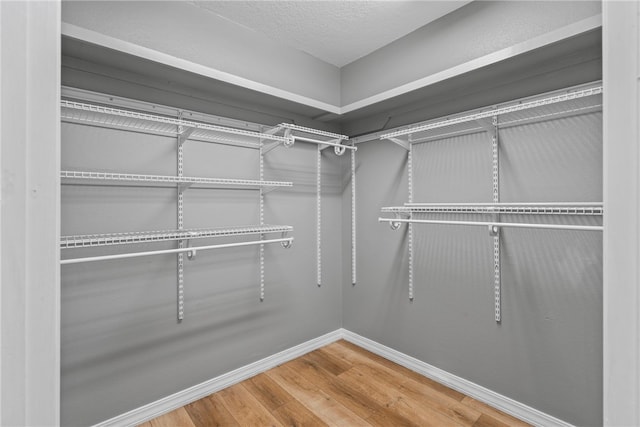 walk in closet featuring hardwood / wood-style floors