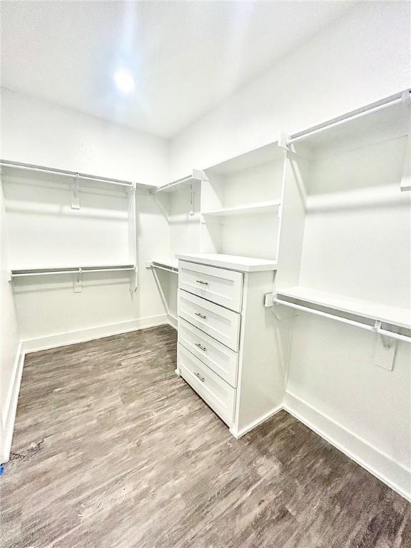 walk in closet featuring dark wood-style floors