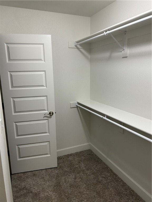 walk in closet with dark carpet