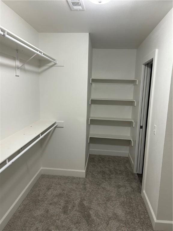 4833 W Planetree St, Fayetteville, AR 72704 - spacious closet with carpet floors