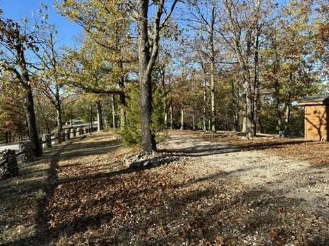 3858 Mundell Rd, Eureka Springs, AR 72631 - view of yard