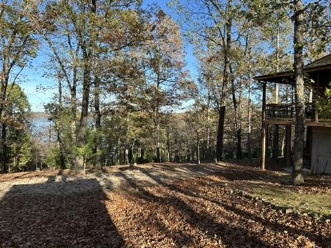 3858 Mundell Rd, Eureka Springs, AR 72631 - view of yard