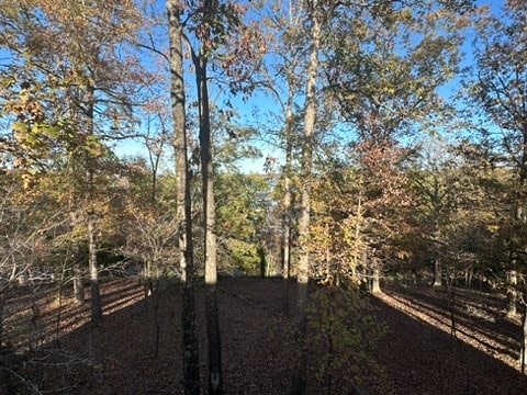 view of local wilderness