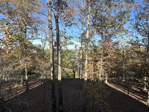 3858 Mundell Rd, Eureka Springs, AR 72631 - view of yard
