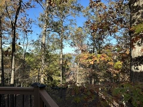 3858 Mundell Rd, Eureka Springs, AR 72631 - view of yard
