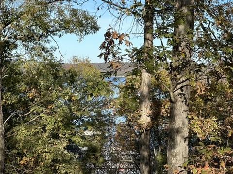 3858 Mundell Rd, Eureka Springs, AR 72631 - view of local wilderness