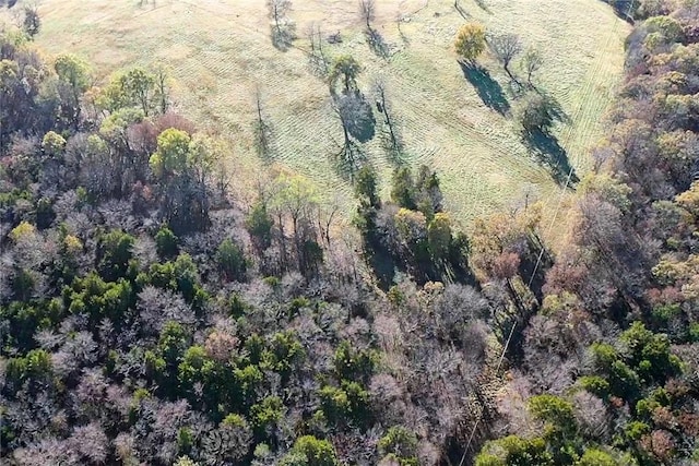 drone / aerial view with a forest view