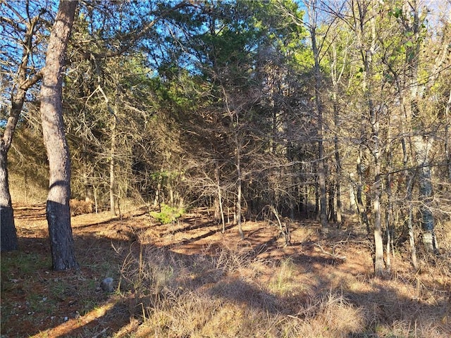 view of local wilderness featuring a view of trees